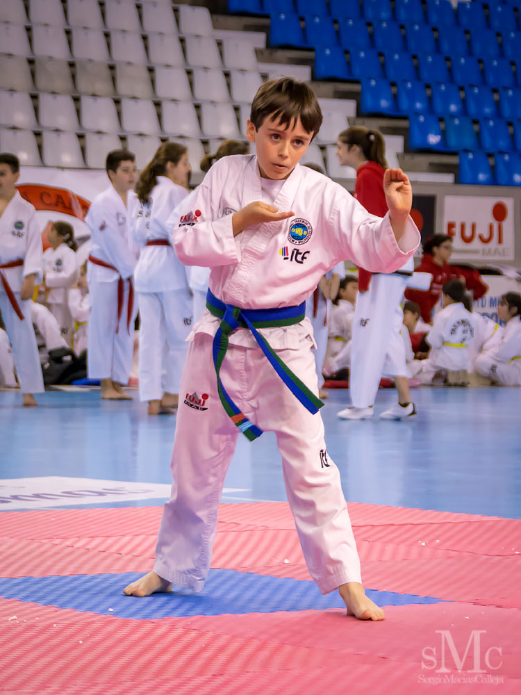 TAEKWONDO CAMPEONATO PAREJAS ABRIL 2018_1984.jpg
